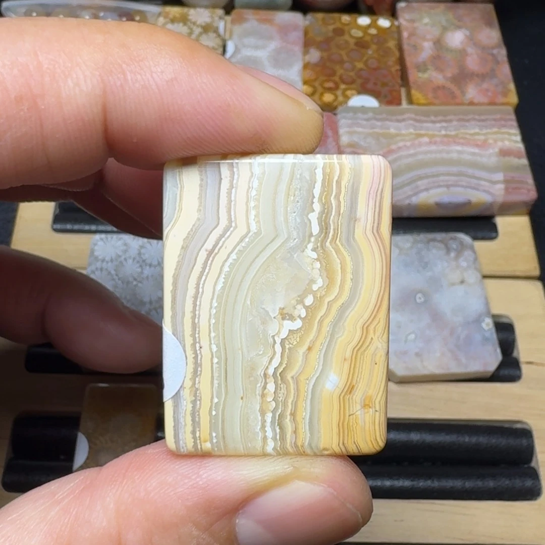 硅化珊瑚（珊瑚玉）纯天然色有机玉石未镶嵌