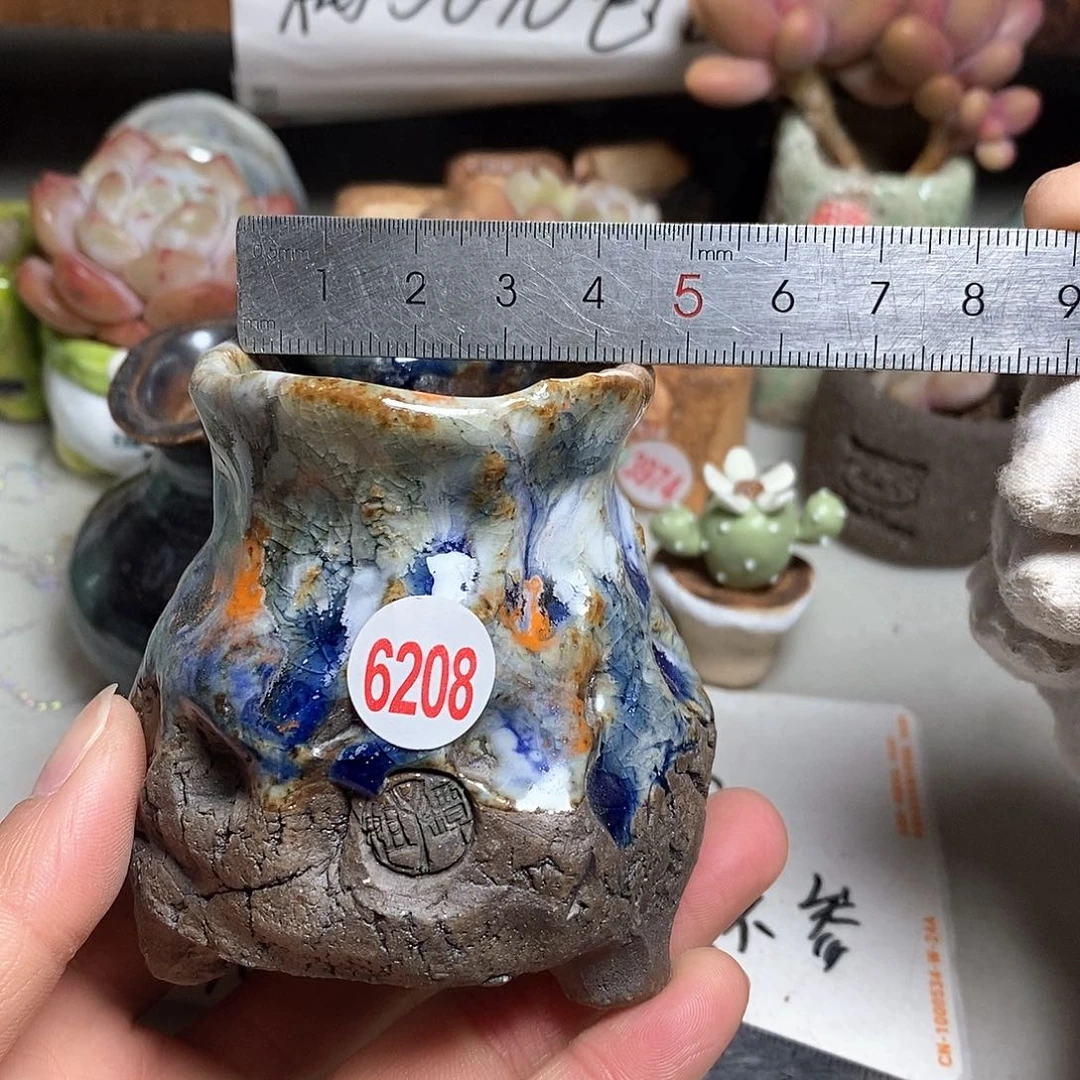 红陶拍5送一个小