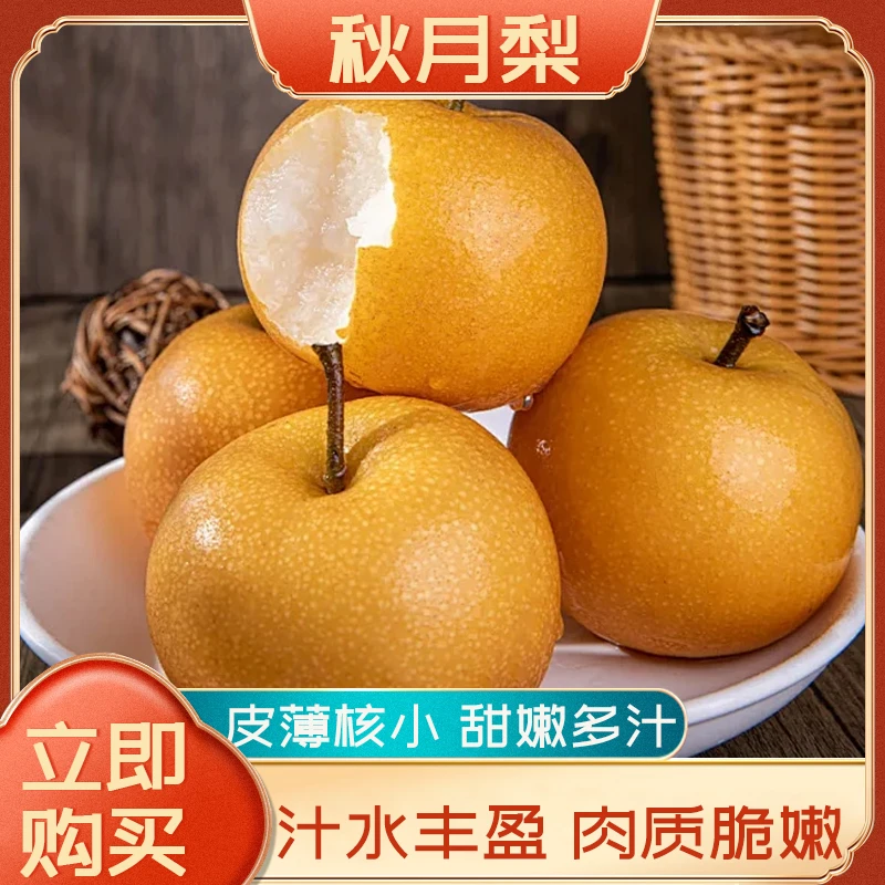 【保真！】正宗山东莱阳秋月梨新鲜5斤水果礼盒整箱新鲜水果当季水果