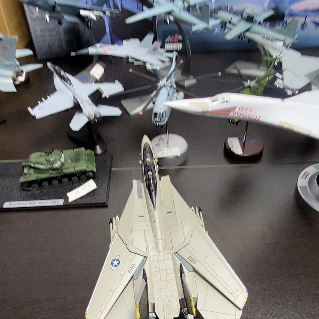 1:100F14A雄猫战斗机