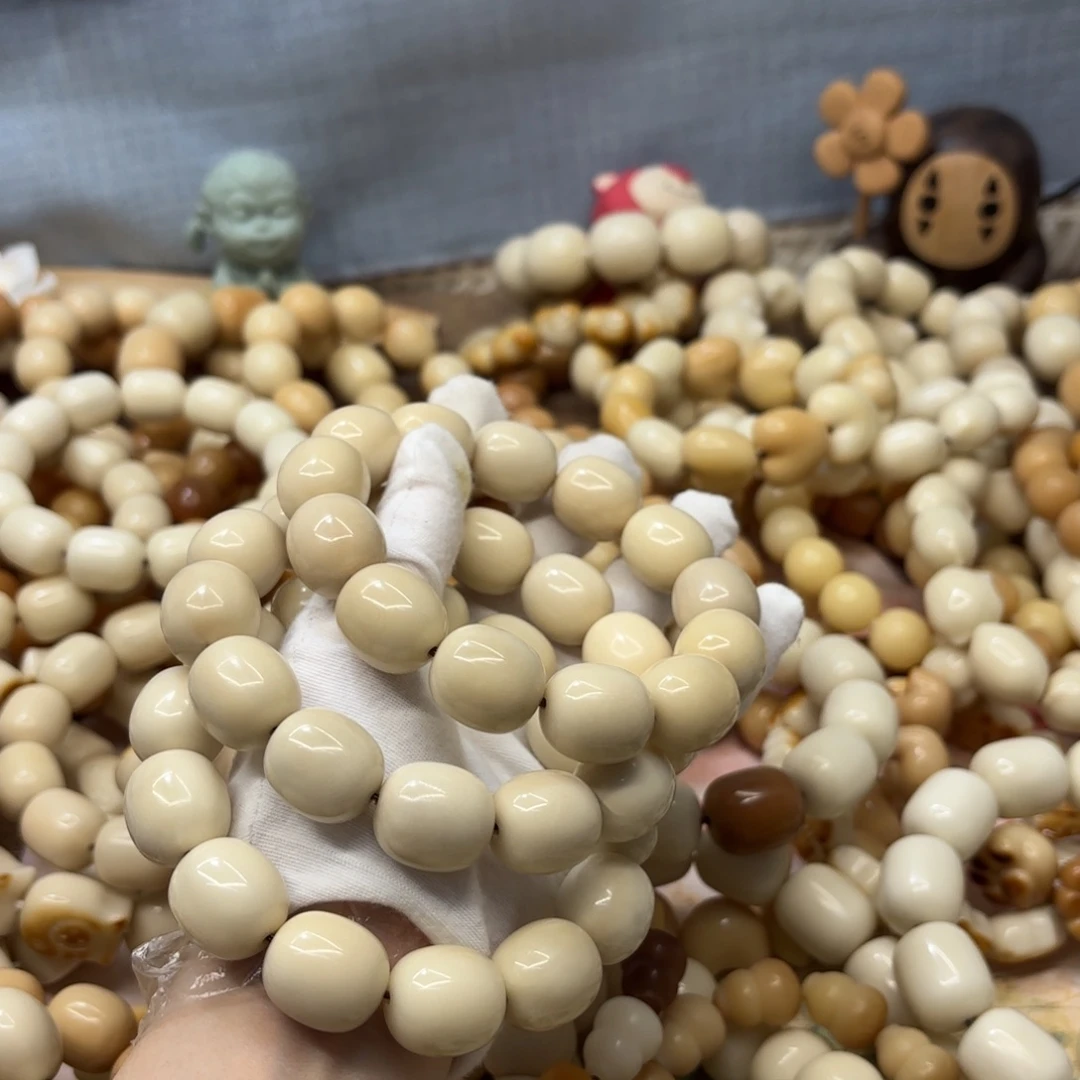 吊坠菩提根/象牙果20干磨瑕疵牙果枣一锅533