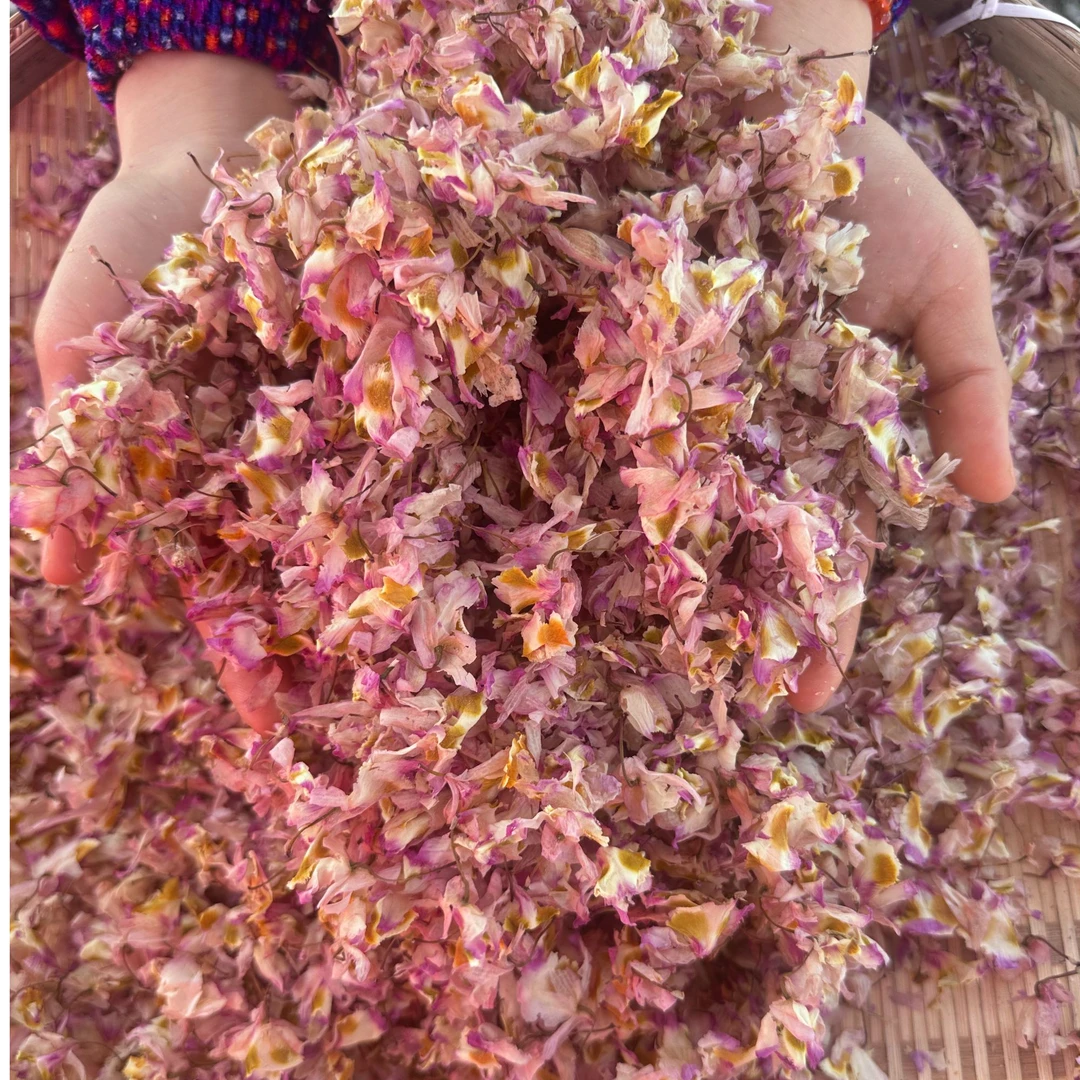 【洋洋助农山货】紫楹仙株当季石斛花紫色石斛花干可泡水石斛清兰