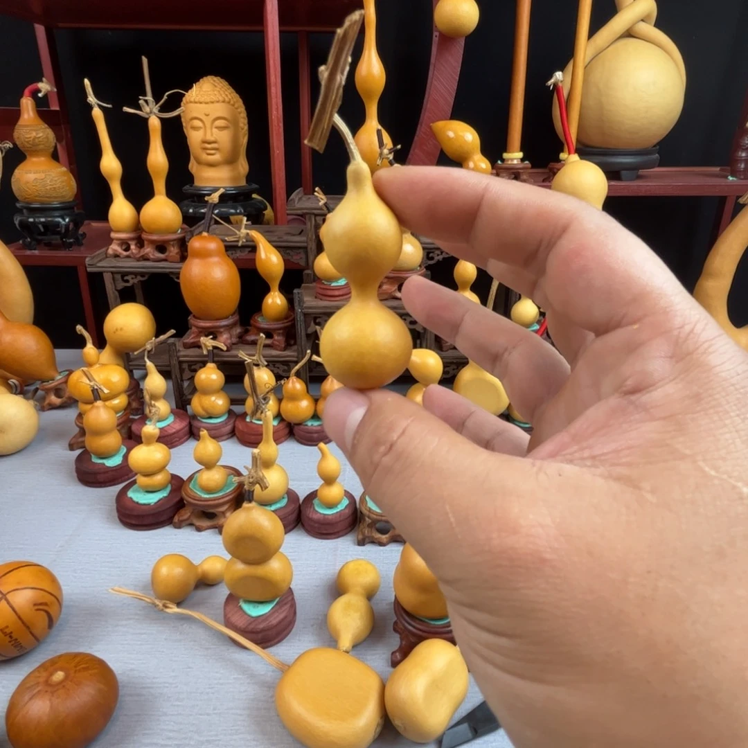 老***米藤木我的小可爱，一点也不像个女孩