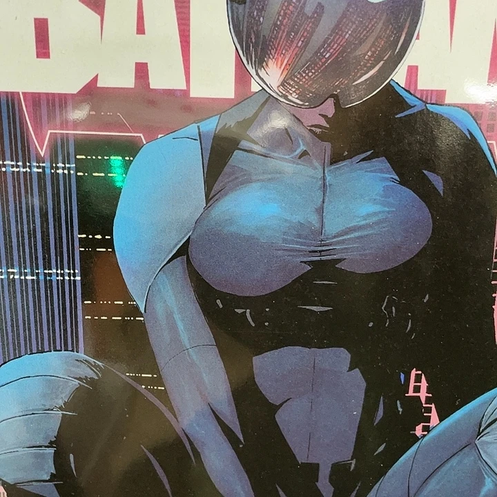 绝对蝙蝠侠第13期主刊