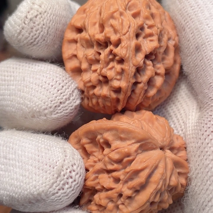 核桃产地秦岭秦岭鸡心