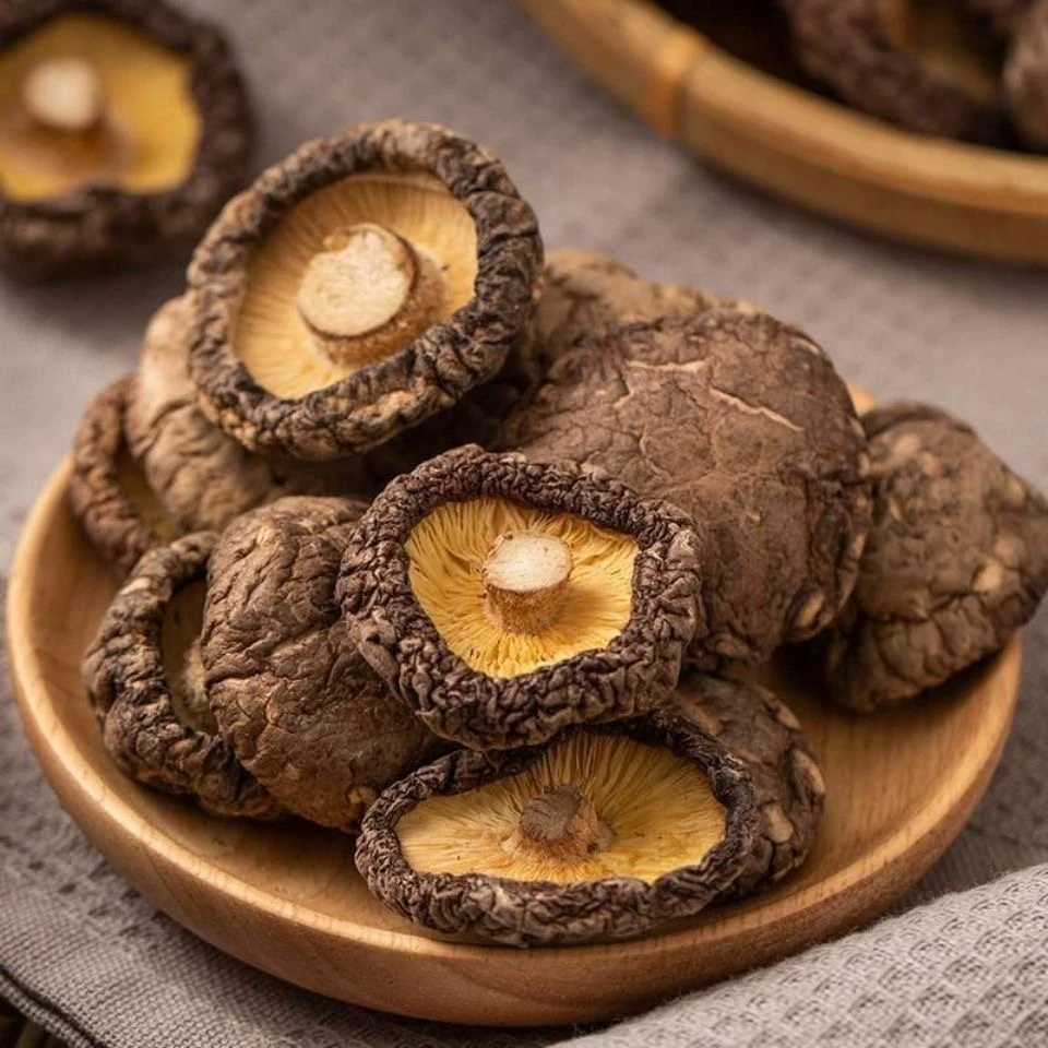 寻味下山货【小香菇】