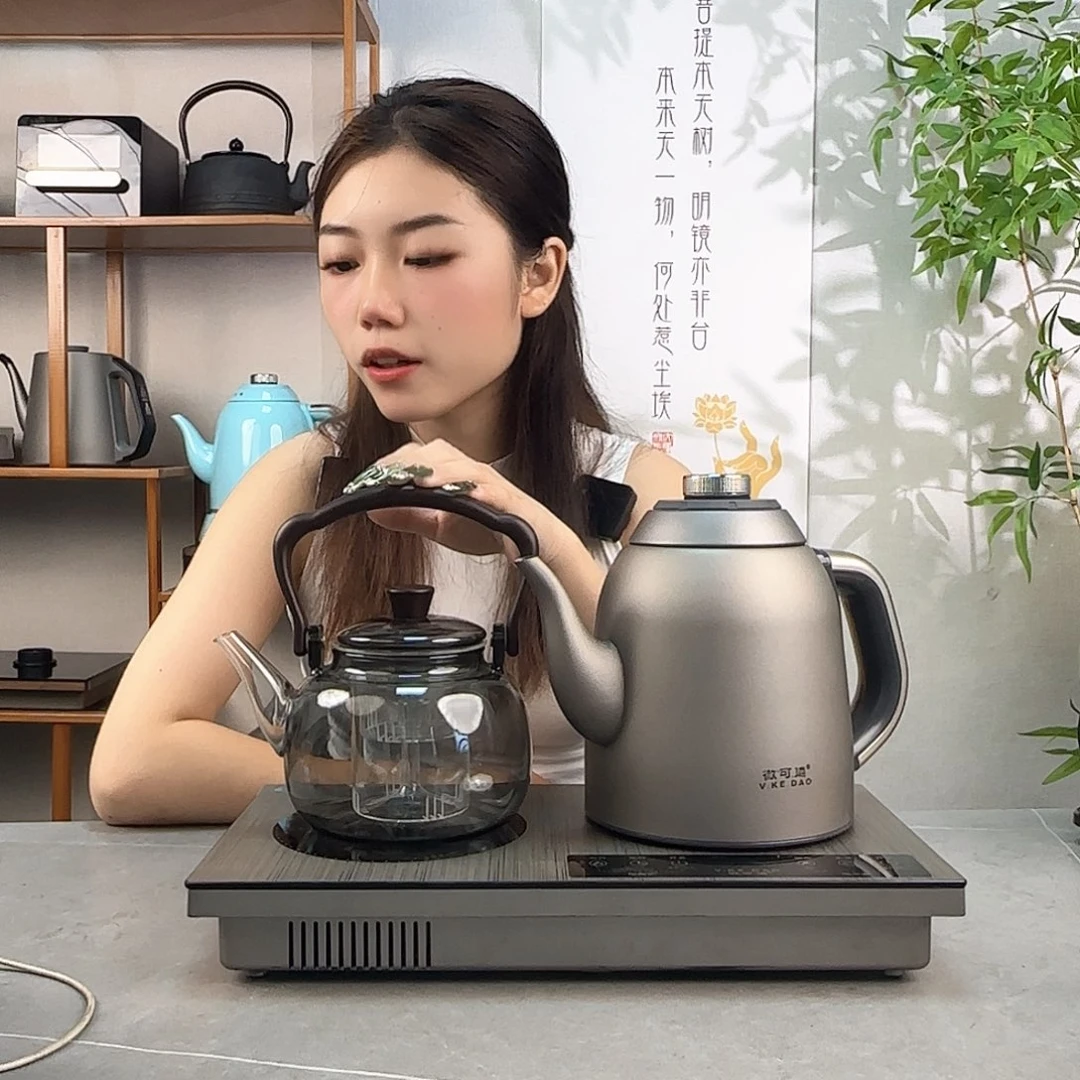 游***森微可道纯钛煮茶壶系列