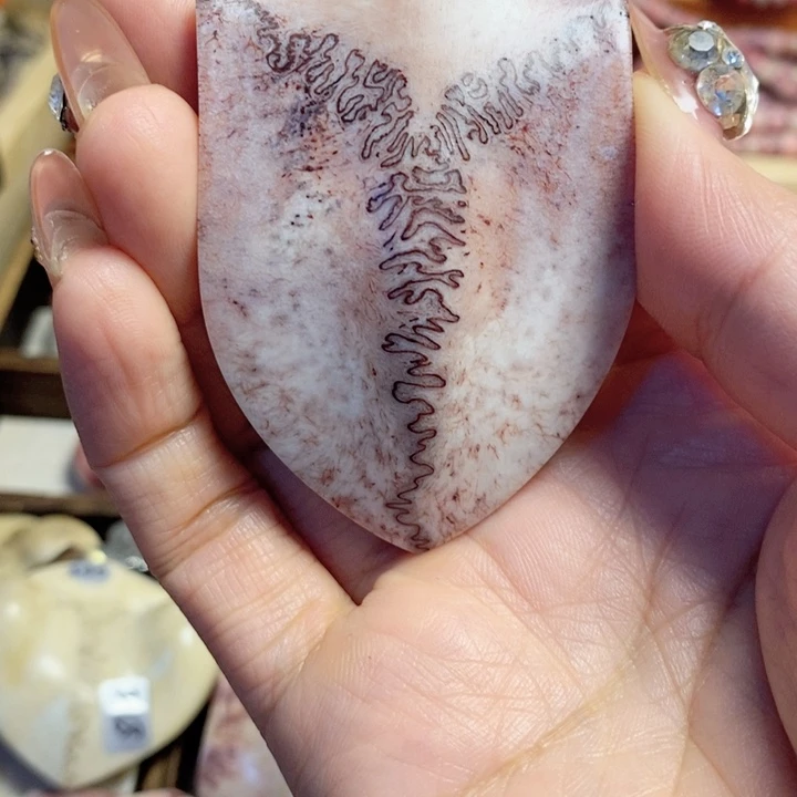 把件鹿骨闷**?养殖鹿鹿三界手把件