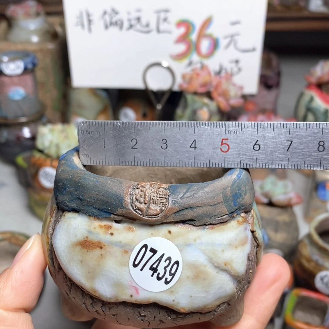 花盆拍3送一个小礼物
