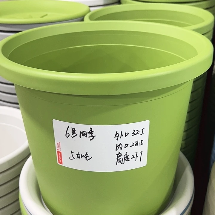 正品6号四季口32.5高27.7白色无托7只