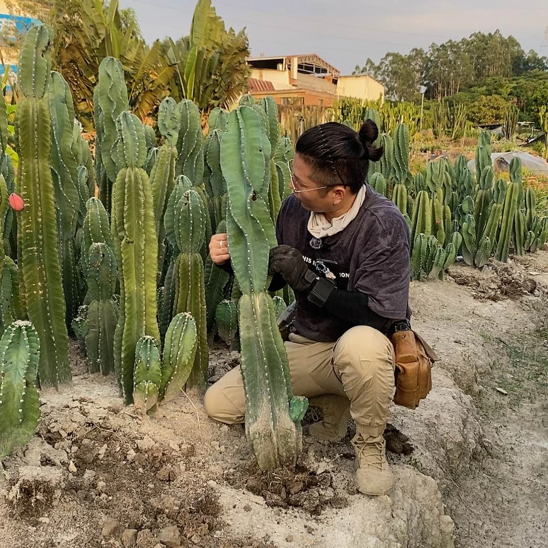 110公分左右苹果10号
