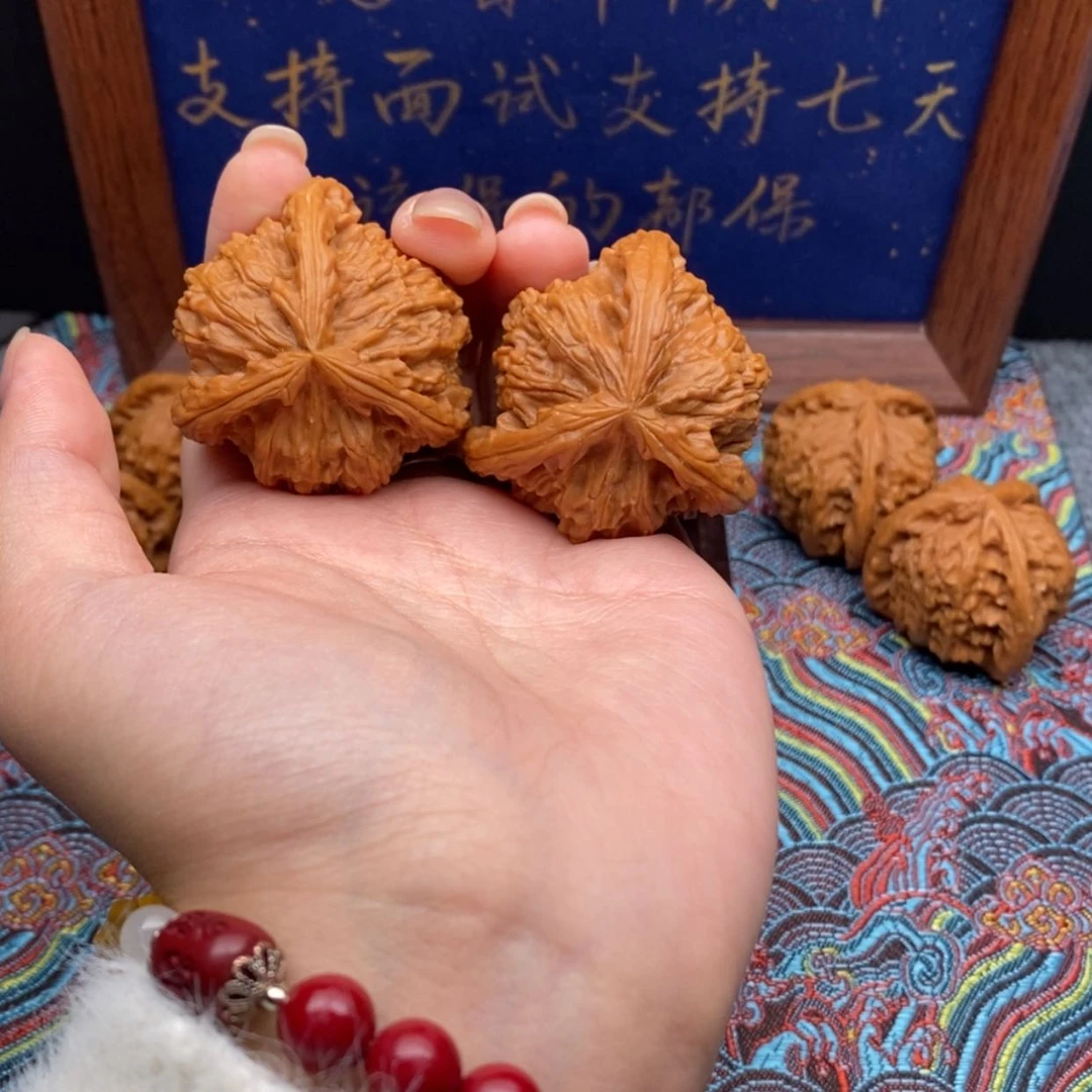 【闪购商品】周***厨白狮