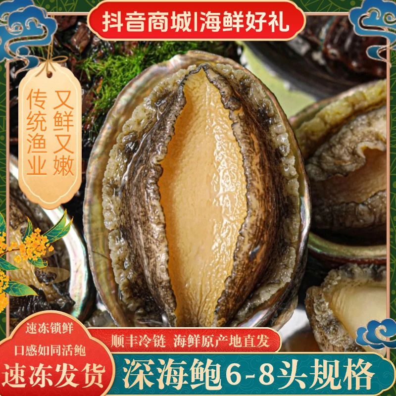 6-8头鲍鱼生鲜海鲜新鲜冷冻6.5-7.5cm左右东山岛深海冷链速冻鲍鱼