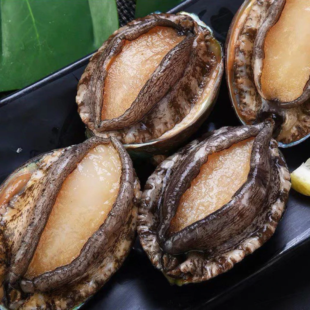 【顺丰冷链】大号鲍鱼肉5-8厘米 纯肉速冻 生鲜 海鲜水产