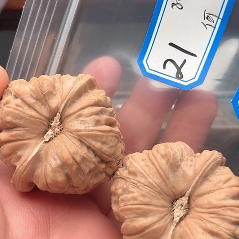 文玩核桃吊坠何****富南瓜