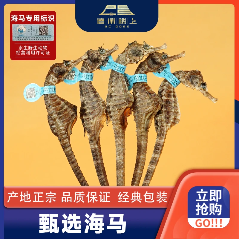 徳承行优选  海马1-2g  F