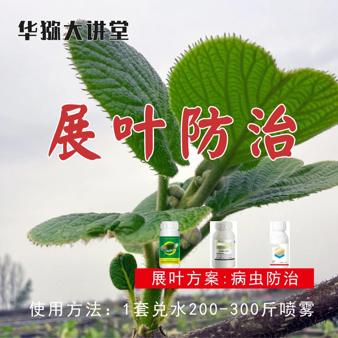猕猴桃展叶防治方案（展叶期病虫防治）