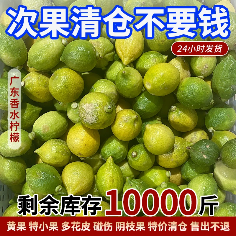 欧小甜【开业福利】正宗无籽香水柠檬奶茶店专用榨汁青黄果爆香