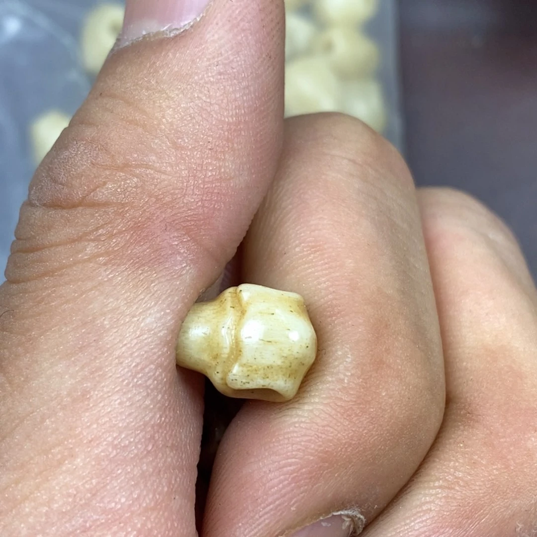 其他驼骨0.9尺寸灵骨,169