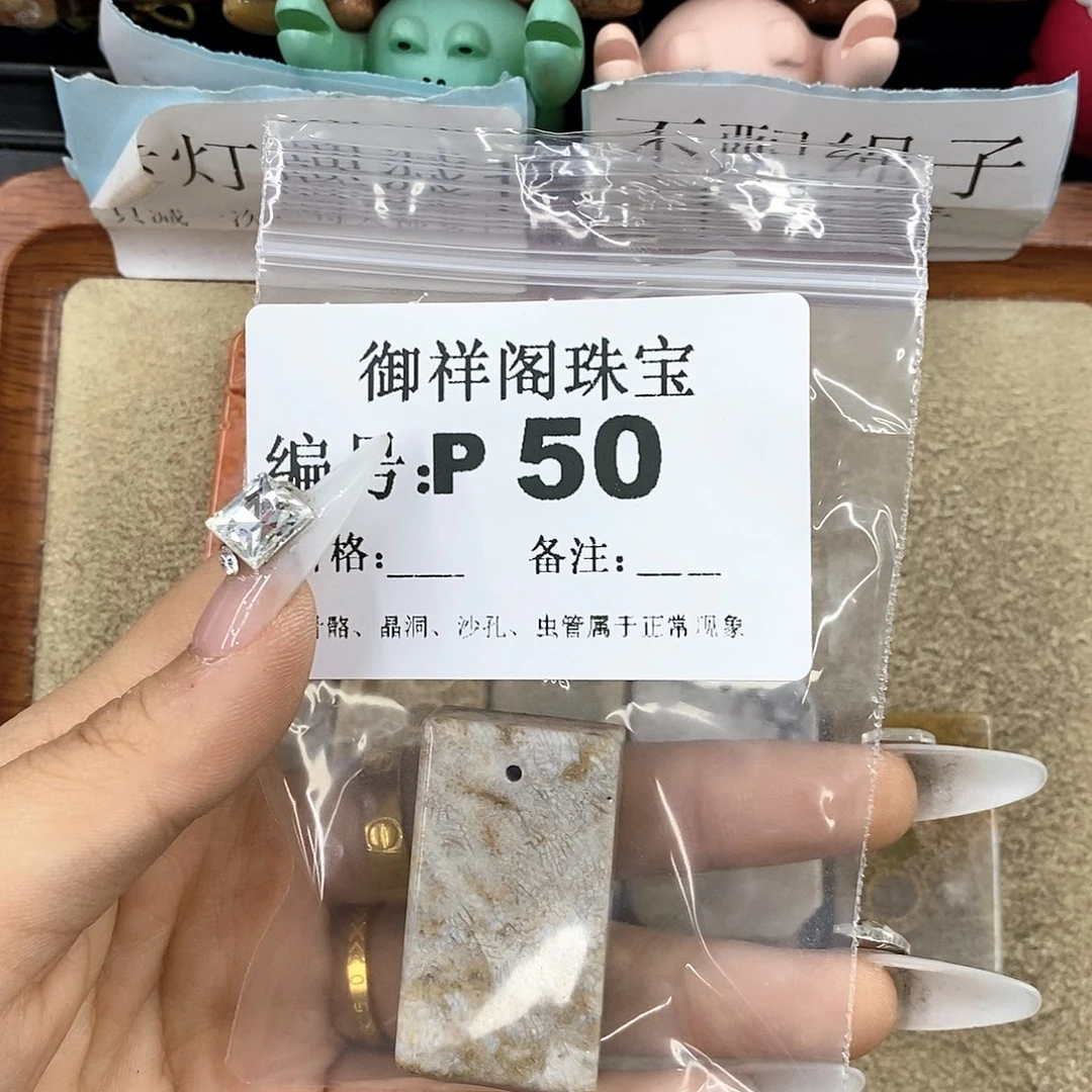 硅化珊瑚（珊瑚玉）z未镶嵌甜*