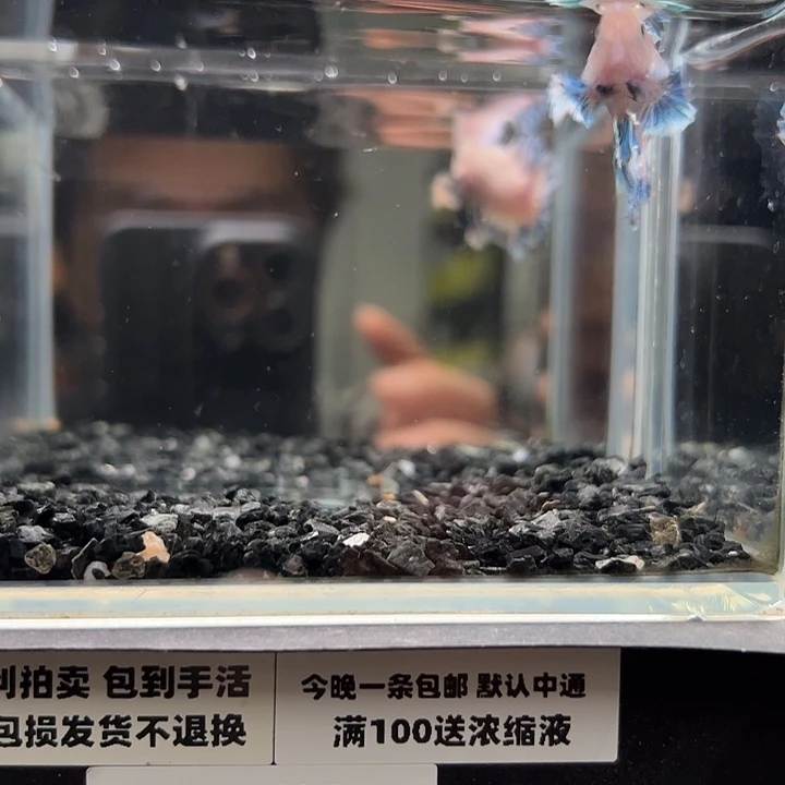 斗鱼跑单拉黑9日8