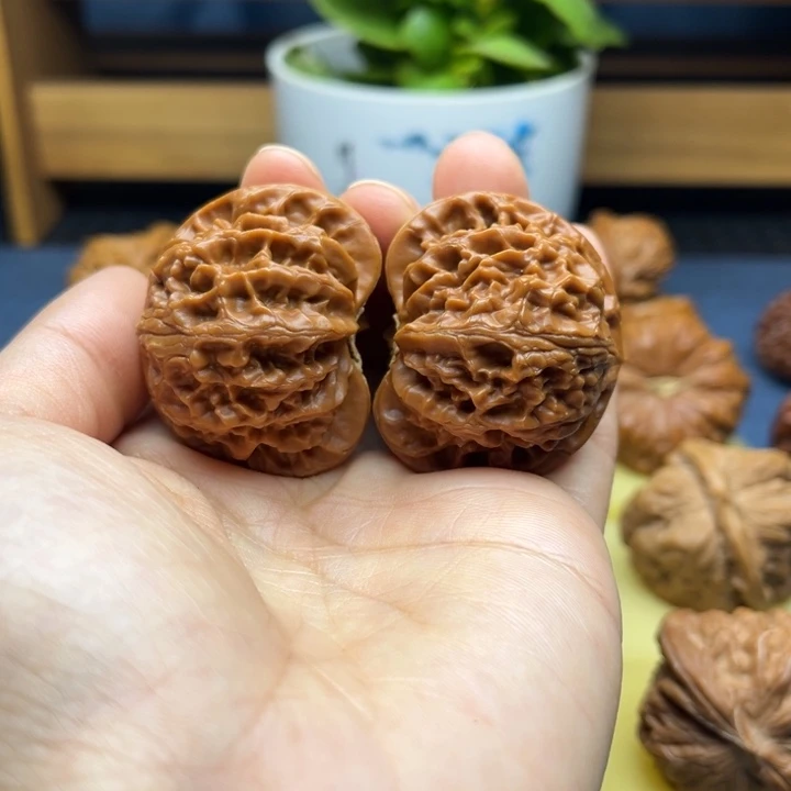 42➕宫灯狮子头手工打底