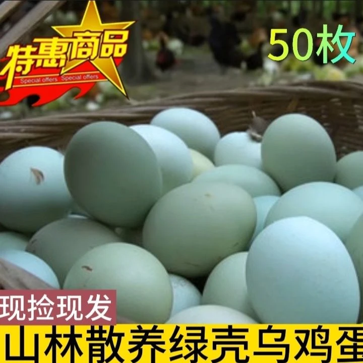 新鲜绿壳蛋农家生态散养产地直发营养美味