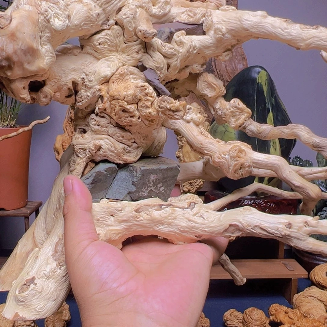 新***元降龙木精品摆件系列