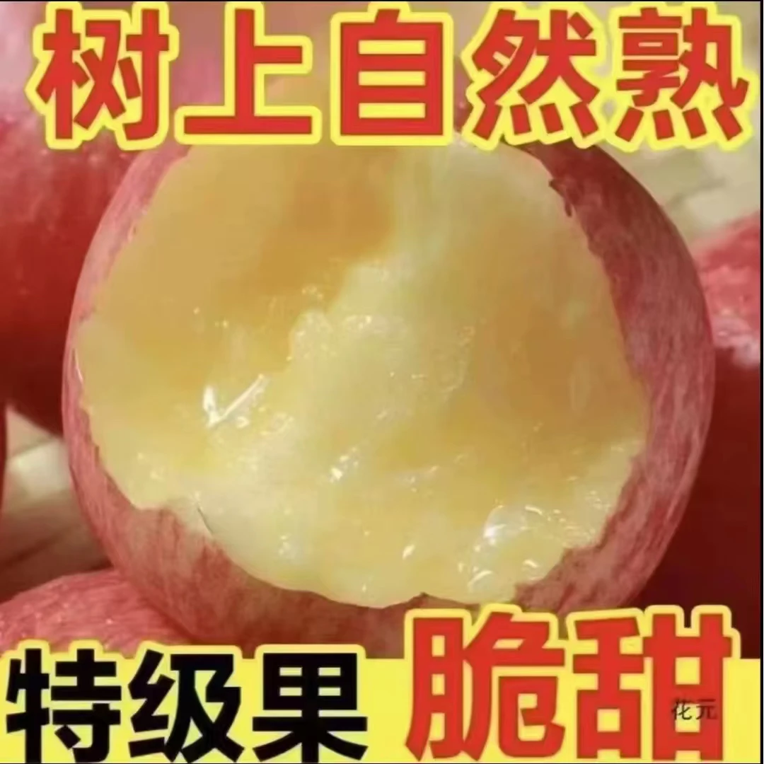 zi【高原红富士】正宗红富士新品种部分带糖心