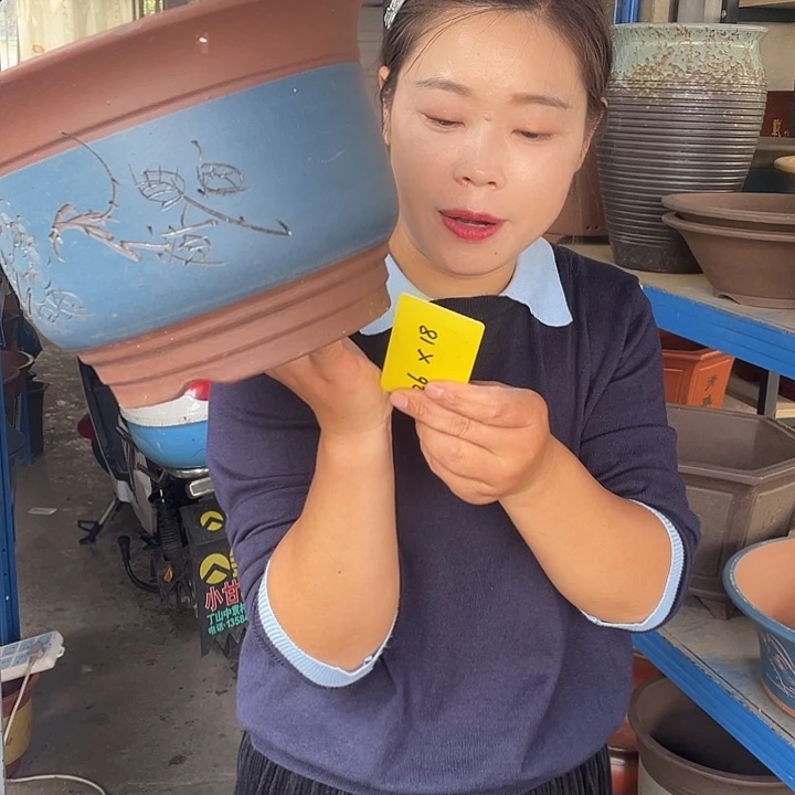 26蓝发财花盆紫砂花盆紫砂花盆