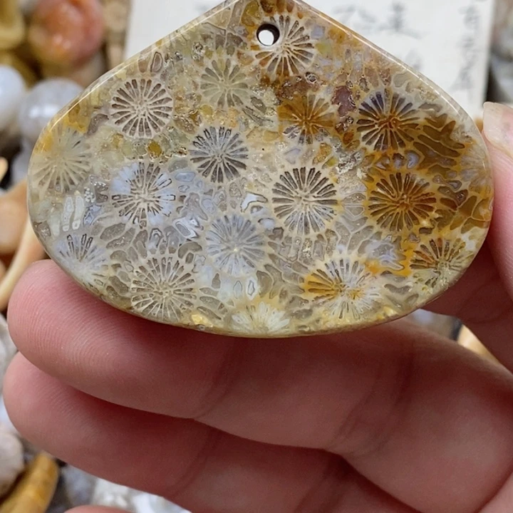 颈饰未镶嵌硅化珊瑚（珊瑚玉）有瑕