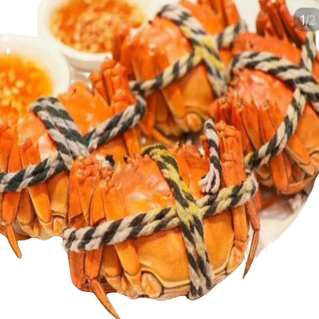 固城湖精品大闸蟹母蟹2.0两单只