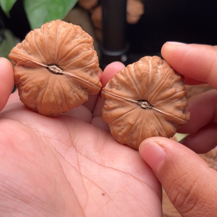 2***2桃核手串南瓜墩全品43精品