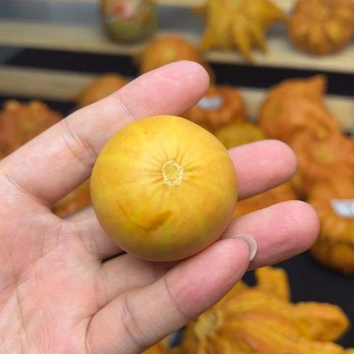 是**吖福利福利福利福利