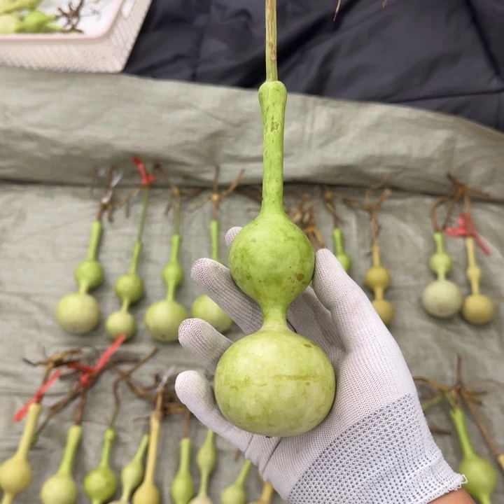 走***花大叶紫檀（黑酸枝木类）