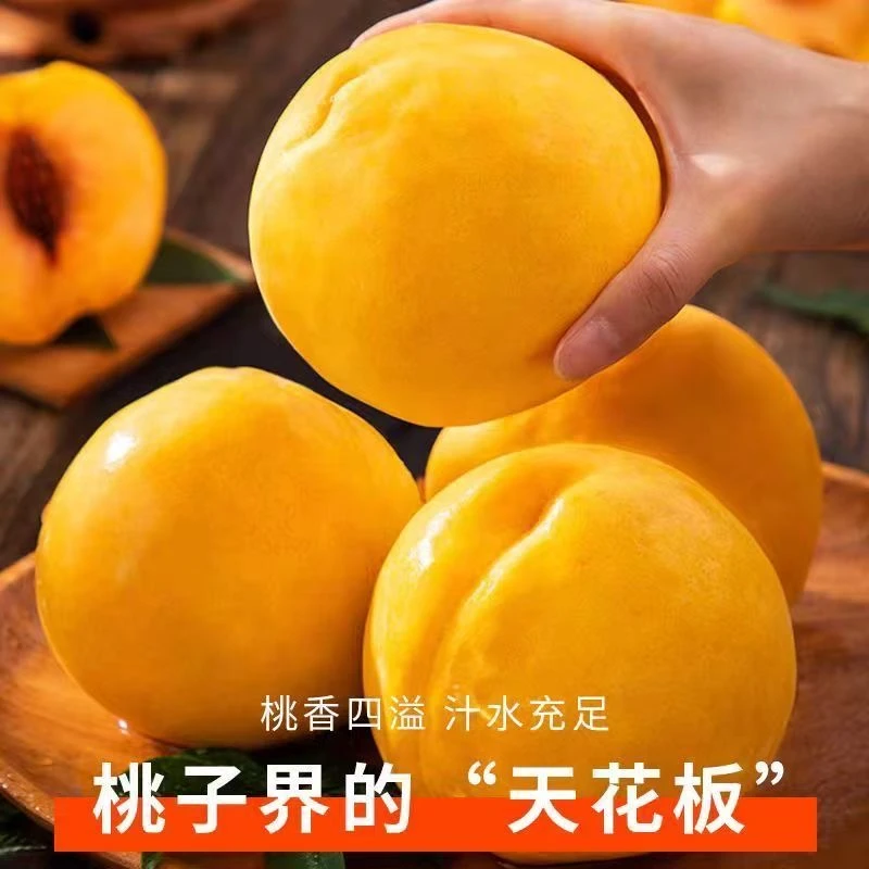 【顺丰包邮】山东蒙阴现摘现发黄桃新鲜水果脆甜多汁可脆软两吃