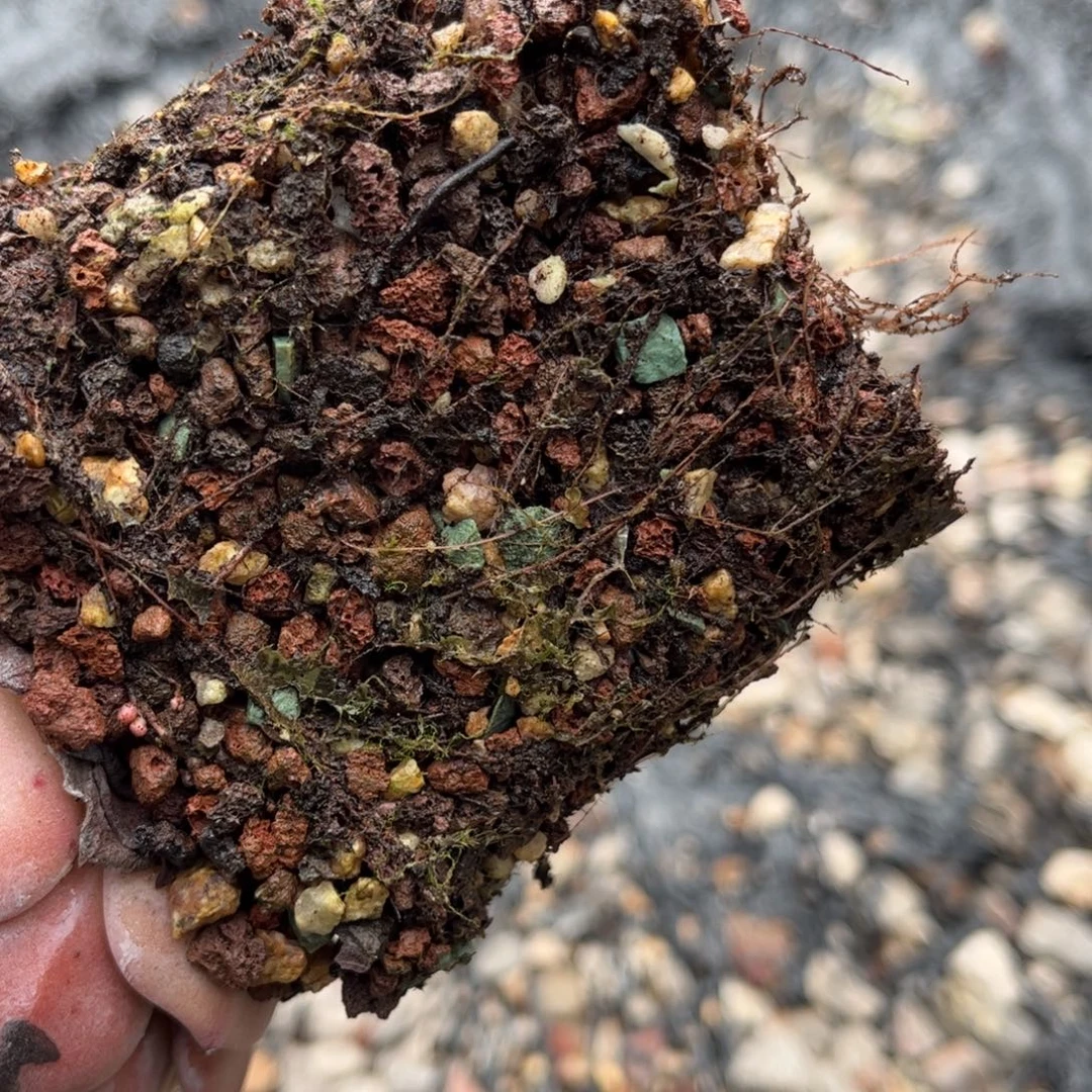 多肉植物颗粒土2.8公斤