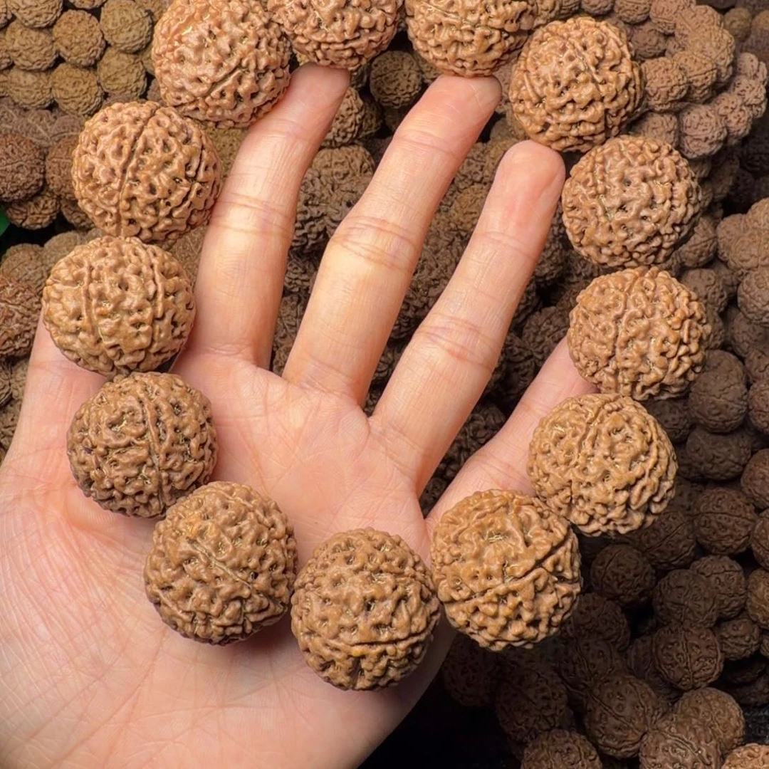 手串金刚菩提7瓣爆肉卡27尺，31号