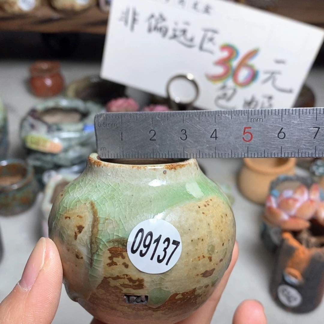 花盆拍5送一个小礼物