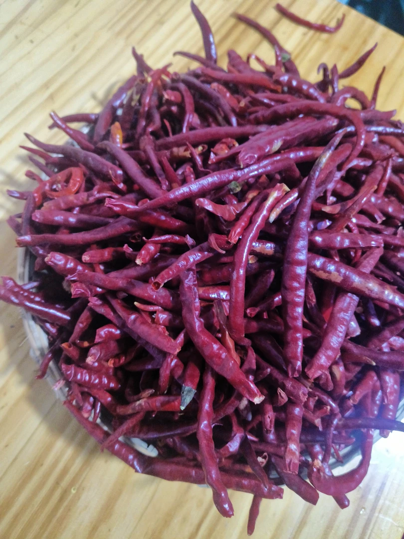 云南省曲靖市会泽县干辣椒