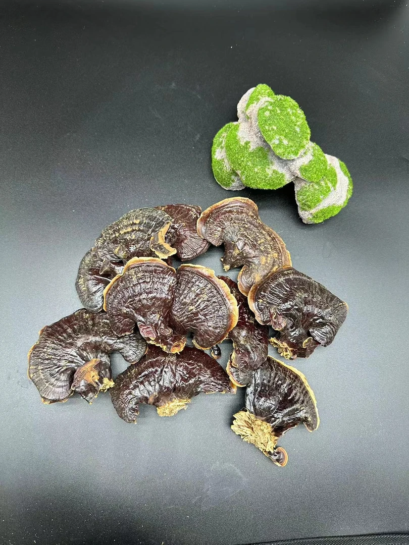 灵芝滋补营养品泡茶煲汤煮水佳品菌香甘甜健康好礼