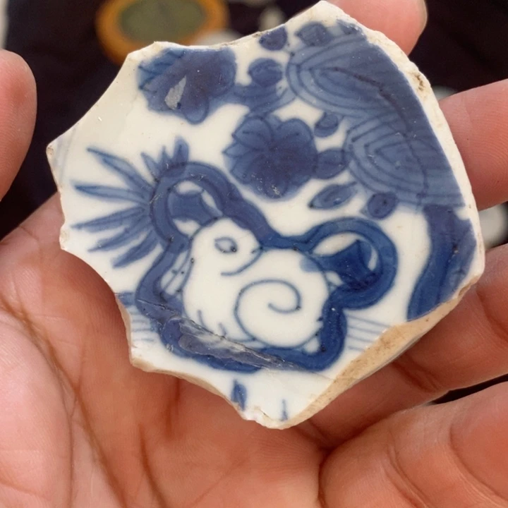 瓷片在线观看免费下载游戏下载
