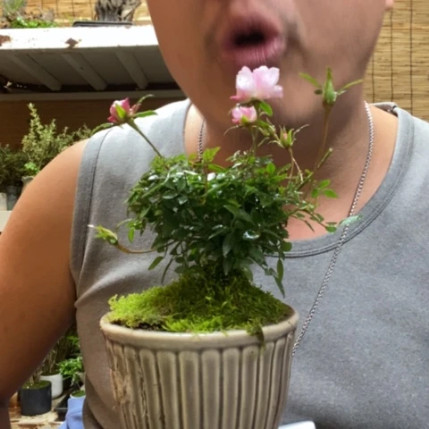 红陶一物一拍所见即所得108