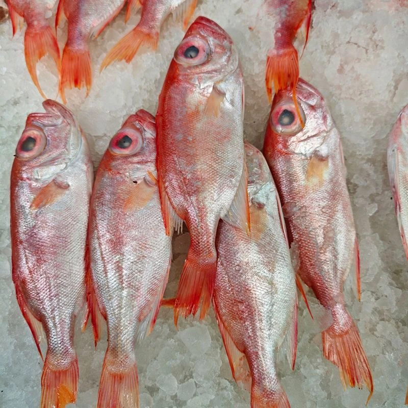 【石榴】神泉港红目良 1 斤 12-13 条直播间介绍