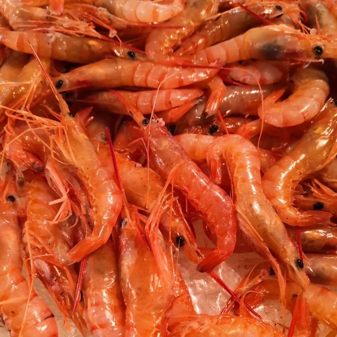 舟山东海东海野生红虾（70-80头/斤）到手3斤新鲜发货