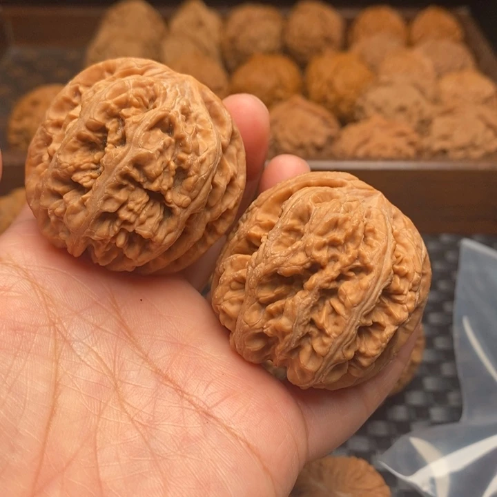 文玩核桃把件粗筋42尺