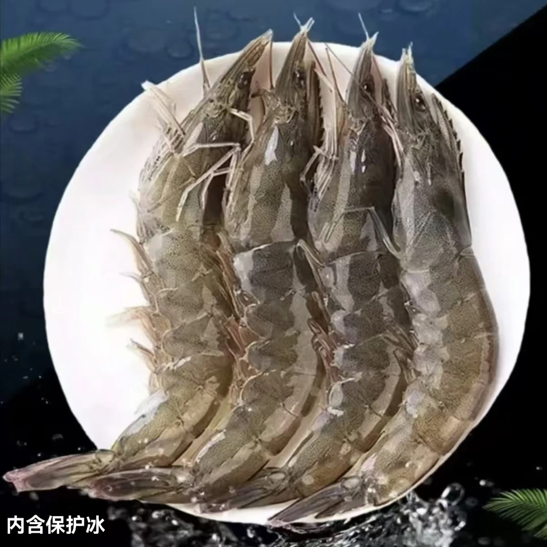 【oho】连云港发货新鲜海鲜国产冷链发货 海水虾五斤到手整箱