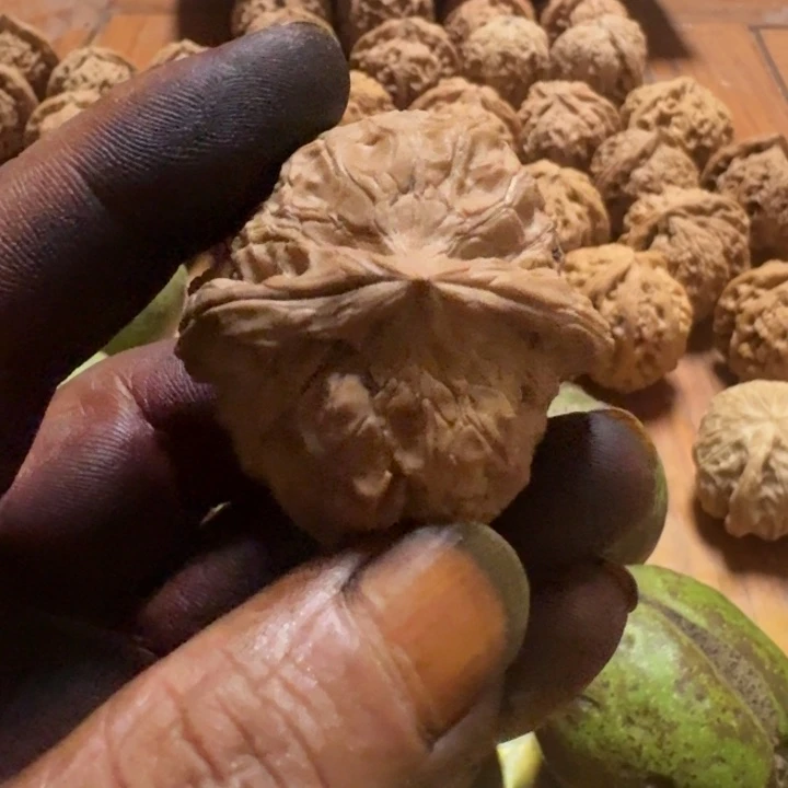 守***人文玩核桃吊坠核桃