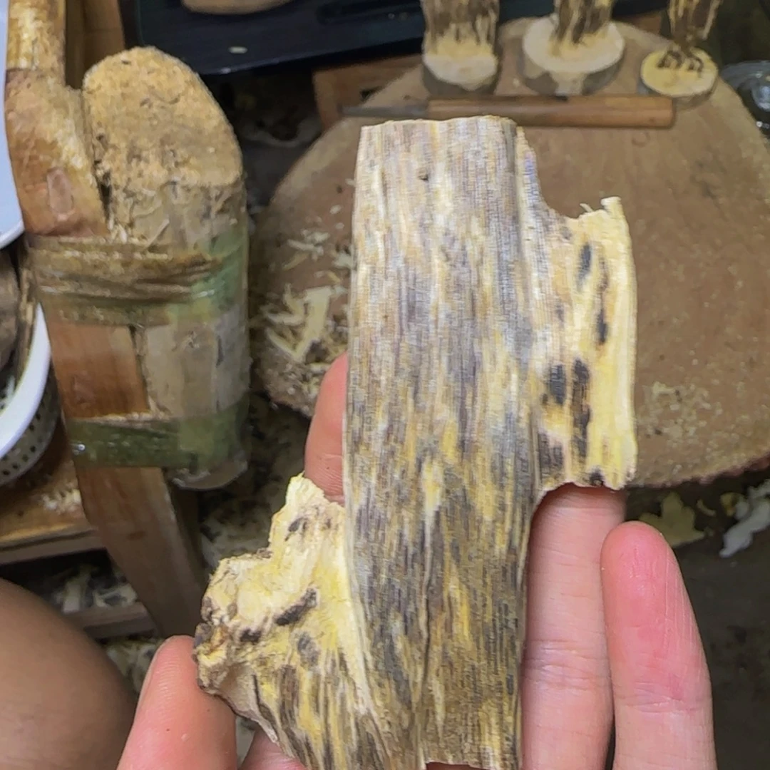 沉香紫奇天然虫发一份