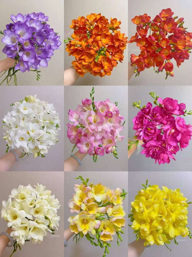 香雪兰小苍兰开花特别香